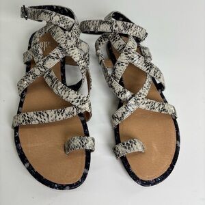 Cabi Athena snakeskin leather gladiator sandals 7 flat toe loop white gray